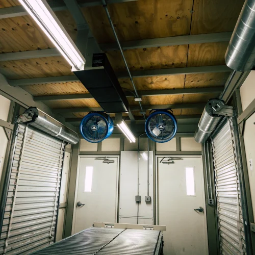 Lighthouse+Electric-+Sheep+Creek+Films-1-3 (1)