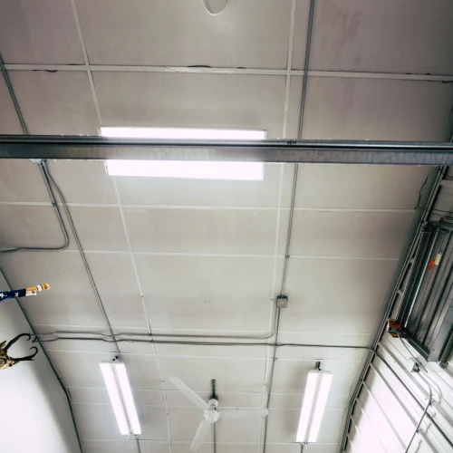 Lighthouse+Electric-+Sheep+Creek+Films-1-7